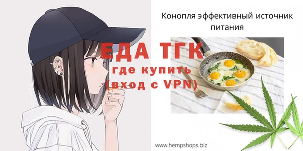 дмт Новозыбков