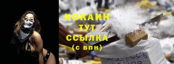 дмт Новозыбков