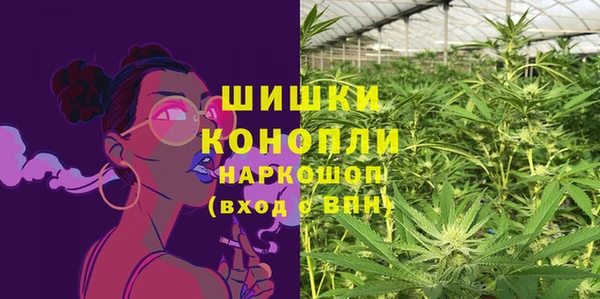 амф Алзамай