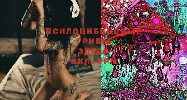 синтетический гашиш Алексеевка