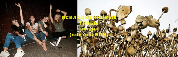 прущая мука Новодвинск