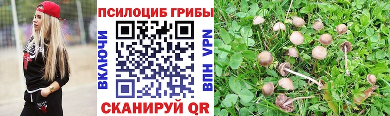 блэк спрут ссылки Спасск Галлюциногенные грибы Magic Shrooms